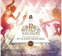 Various Artists - Pure Salinas No.6 [Import]