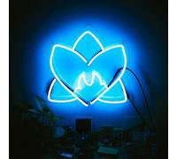 Various Artists - Radiating Light/Various [Import]