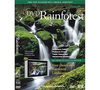 Various Artists - Rainforest [Import]