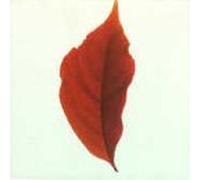 Various Artists - Renaissance Mix Collection 4