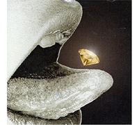 Various Artists - Risky Dazzle:a Service Pa