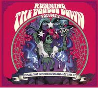 Various Artists - Running The Voodoo Down 2 [Import]