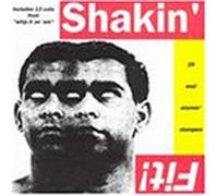 Various Artists - Shakin Fit