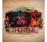 Various Artists - Shortbus