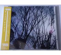 Various Artists - Sleepy Forest