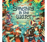 VARIOUS ARTISTS - SOMETHING IN THE WATER - Vinyl Record Record - E707z