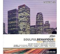Various Artists - Soulful Behaviour 2