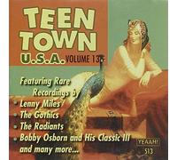 Various Artists - Teen Town USA 13 / Various