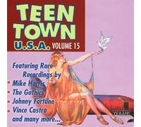 Various Artists - Teen Town Usa, Vol. 15 (Mike Harris-Johnny Fortune-Vince Castro And More)