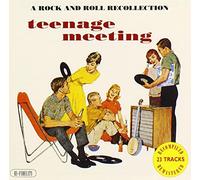 Various Artists - Teenage Meeting