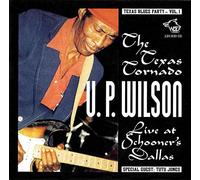 Various Artists - Texas Blues Party Vol.1