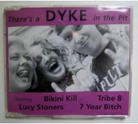 Various Artists - There's a Dyke in The Pit