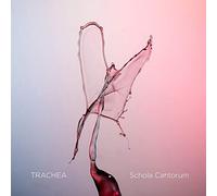 Various Artists - Trachea [] 2 Pack, With Sacd