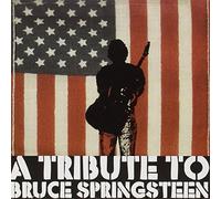 Various Artists - Tribute to Bruce Springst [Import]