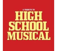 Various Artists - Tribute to High School Musical