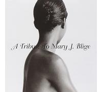 Various Artists - Tribute to Mary J. Blige [Import]
