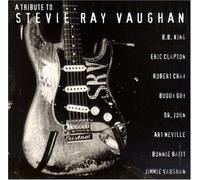 Various Artists - Tribute to Stevie Ray Vaughan