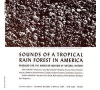 Various Artists - Tropical Rain Forest / Various [Cd]