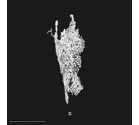 Various Artists-v Five Years of artefact [Import]