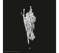 various artists - Various Artists-v Five Years of artefact [Import]