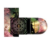 various artists - Various Artists Wicked : The Original Movie Soundtrack Exclusive Picture Disc Version w/ Alternate Cover & Poster! ( Ft. Ariana Grande )