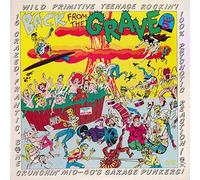 Various Artists - Vol.5 Back from The Grave [Vinyl]