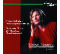 Various Artists Wandererfantasie/der Wanderer (CD) Album