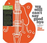 Diverse - We Still Can'T Say Goodbye: a Musicians' Tribute T