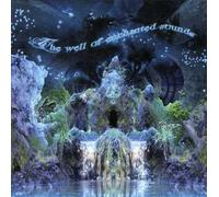 Various Artists - Well of Enchanted Sounds