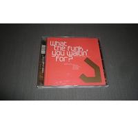 Various Artists - What The Funk You Waitin' For