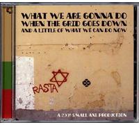 Various Artists - What We are Gonna Do When The Grid Goes Down