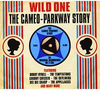 Various Artists - Wild One the..
