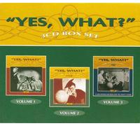 Various Artists – Yes, What? Vol. 1 – Audio CD – Import – Sony