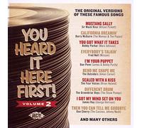 Various Artists - You Heard It Here First 2