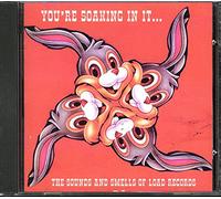 Various Artists - You're Soaking in It Sounds Smells Load Rec