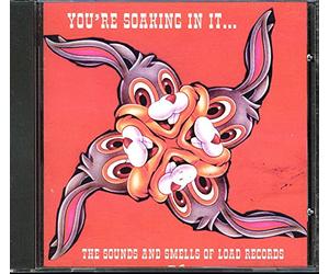 Various Artists - You're Soaking in It Sounds Smells Load Rec