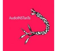 Various - Audioinstants (Une Galerie De Portraits Sonores Par Pierre Pascual)