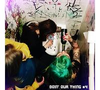 Various - Audiolith Doin' Our Thing V4