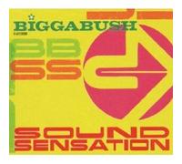 VARIOUS -BIGGABUSH-SOUND SENSATION CD POP 18 TRACKS NEW