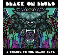 Various Artists Black On Blues: A Tribute to the Black Keys (Vinyl) 12" Album