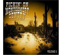 Various (Bluegrass Tribute) - Pickin on Montgomery Gentry 2