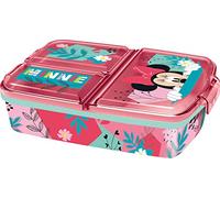 various Boîte à sandwich pour enfants avec 3 compartiments pour crèche, boîte à sandwich en plastique sans BPA, excellent cadeau pour enfants (Minnie Mouse)