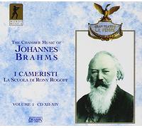 Various - Brahms: Kammermusik (Chamber Music) Vol. 5