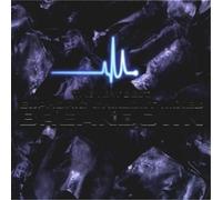 Dido, Moby, Orbital et autres – Euphoria: Very Best Euphoric Chillout Mixes – Various Mielsch