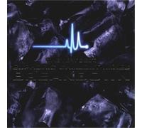 Dido, Moby, Orbital et autres – Euphoria: Very Best Euphoric Chillout Mixes – Various Mielsch