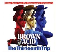 Various - Brown Acid: the 13th Trip
