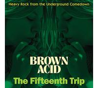 Various Artists Brown Acid: The Fifteenth Trip (Vinyl) 12" Album