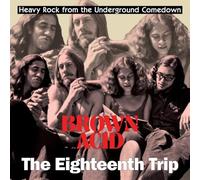 Various - Brown Acid: The Eighteenth Trip [VINYL]