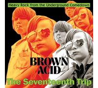 Various - Brown Acid: the 17th Trip (Black)