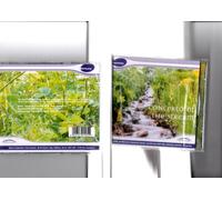 Various - Concerto of The Stream [Import]